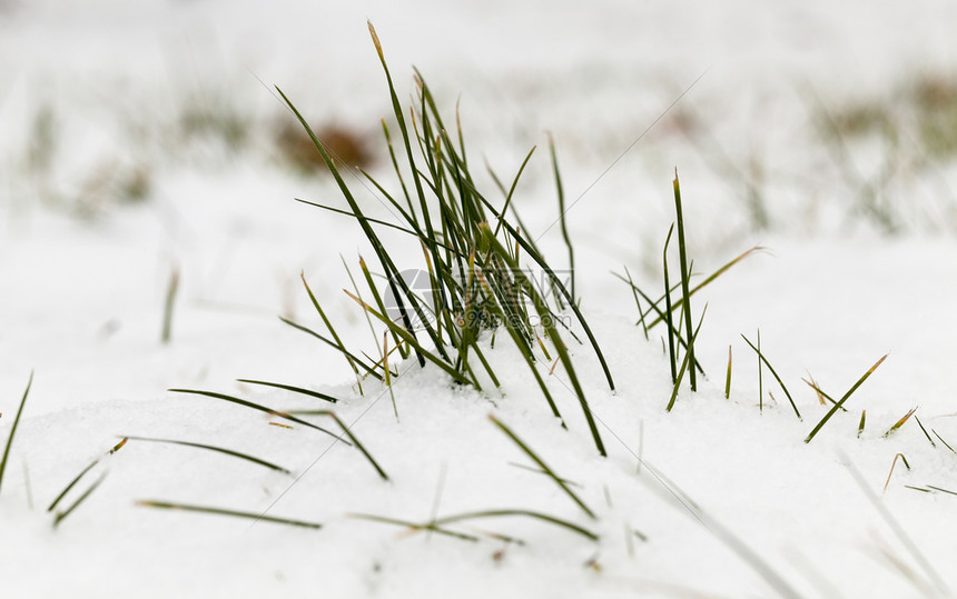 自然冬季雪在下后出现冬季的雪流在天飘动季非城市漂移图片