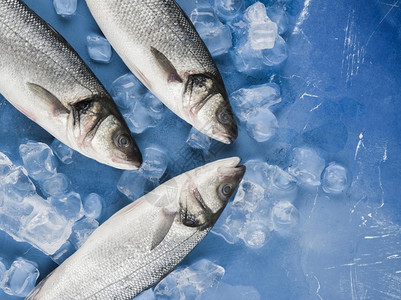 高分辨率照片顶端视图鱼类冰块高质量照片品优图结石红色的干净图片