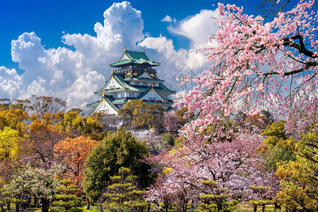 亚洲人日本大阪樱花和城堡满的节日图片