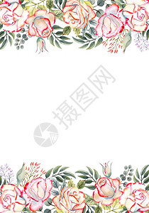 垂直的牌优雅带有水彩玫瑰花叶子装饰的垂直框架用于设计贺卡请柬等带有水彩玫瑰花请柬等图片