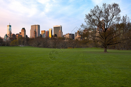 美国纽约州市中央公园和心天际线的羊群梅朵联合建造城市景观图片