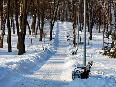 下雪的分支景观冬季公园雪地滑的木板凳沿一条清干净的路走在白雪中阳光明媚的白天公园路一个图片