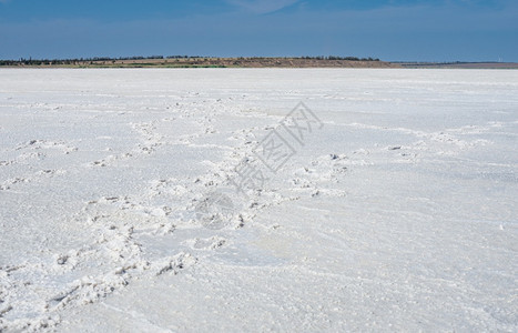 气候乌克兰奥德萨地区Rybakovka的蓝天下白盐湖干燥蓝天下乌克兰干旱盐湖雷巴科夫卡蓝色的图片