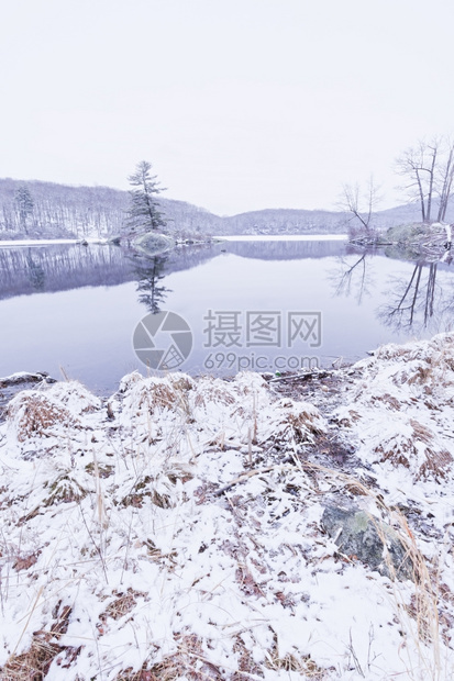 明亮的冬天冷冻森林湖景色很美气候环境图片