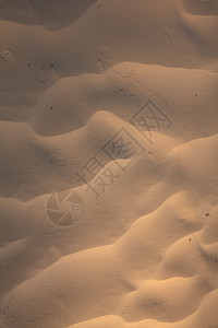游客气候撒哈拉沙滩上的风纹理图片