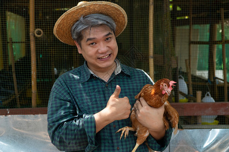 亚洲农民以喜悦的姿态抱着母鸡图片