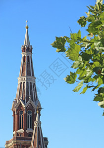 钟楼建造服务波兰罗兹圣凯维奇街60号会士罗马天主教堂的圆顶和带叶子树枝图片