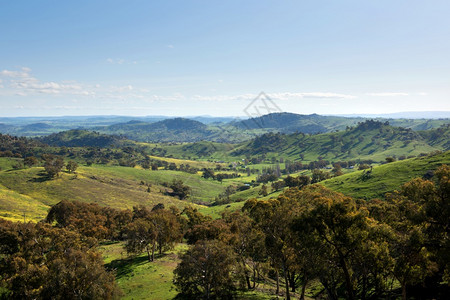 屋蓝色的澳大利亚新南威尔士州Wyangala和Cowra之间的风景观草图片
