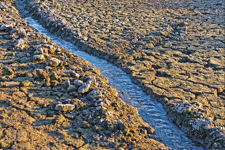 碱沙漠脱水在炎热的夏季干土上流入河道的小水图片