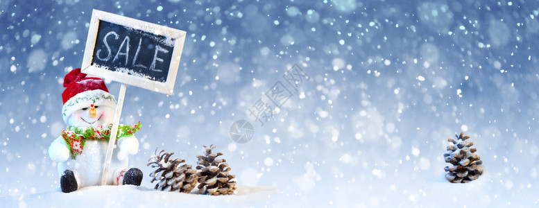 冰松树圣诞概念可爱的雪人与黑板和松锥坐在一起蓝白背景与雪仙境图片