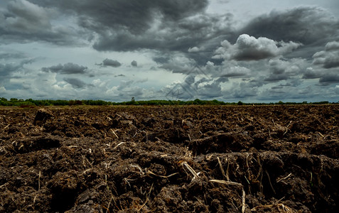 栽培农业耕地黑土风雨如磐农场泥土为种植作物准备的耕土壤有机农业场的肥沃土壤农田景观有机的黑色图片
