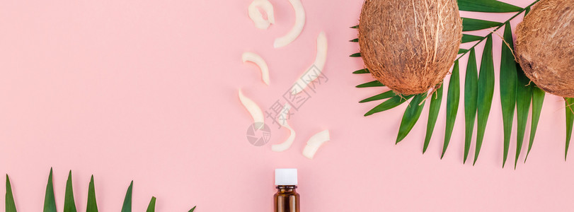 躺着框架叶子粉红色纸背景文件空间最小型热带夏季美容疗养会概念的绿色热带棕榈树叶椰子水果和油化妆品用于皮肤和理发的毛图片