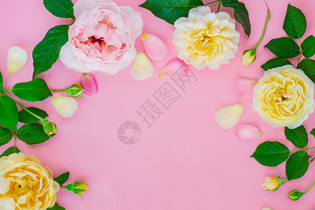 为了花的粉红背景色小马贴近Floral边框为空文本位置粉红背景的色小马贴近平坦的图片