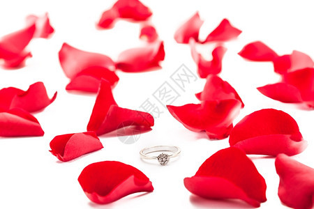 红色的孤立花瓣上环照片金属戒指图片