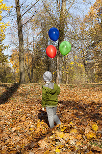 秋季男孩在树间漫步秋天带多色叶子秋季男孩在公园开始或中间有阳光的天气男生竞赛畅快图片