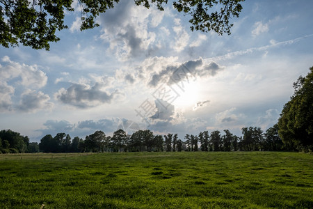开垦草地乡村的东盖勒Vragender市附近的一个年轻Kampen景观日落图片