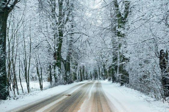 危险树木霜积雪覆盖的汽车轨道高速公路上的积雪高速公路上的积雪覆盖的汽车轨道图片