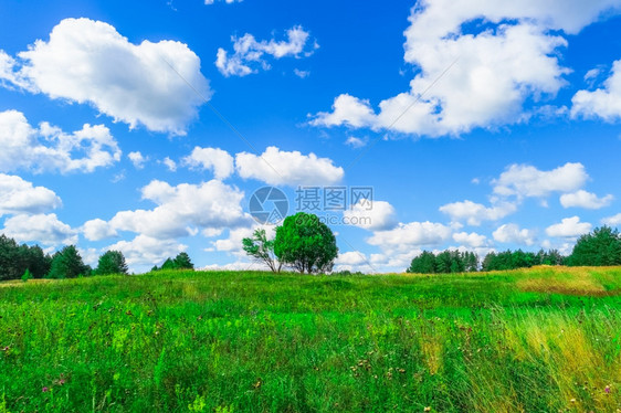 绿色草和蓝天空的夏月风景农业云图片