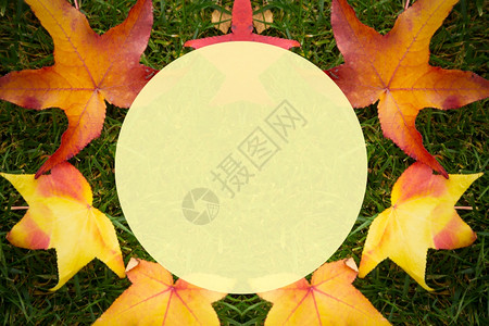 黄色秋叶金的绿色草地背景上多彩的秋叶有文字空间的图象充满活力黄色的背景