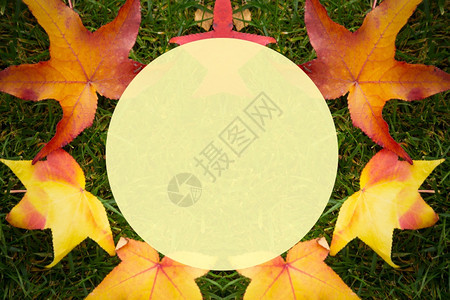 金的绿色草地背景上多彩的秋叶有文字空间的图象充满活力黄色的图片