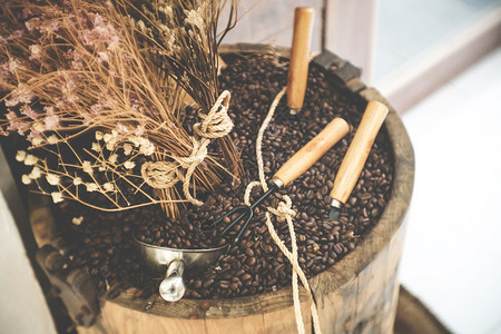 分支成熟木篮子中的咖啡豆热带图片