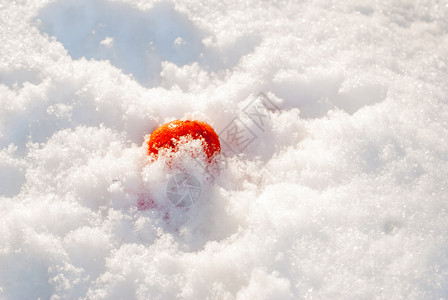 橙早餐落雪时的橘子成熟曼达林剥图片