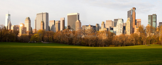 目的地美国纽约州市中央公园和心天际线的羊群梅朵树木建造图片