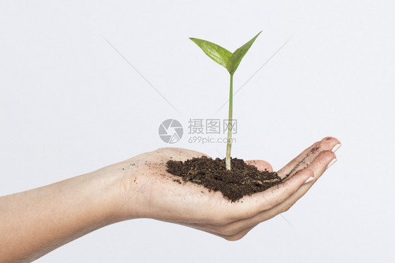 手握扣合用植物商业投资拔罐节省绿化图片