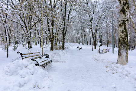 凉爽的城市公园小巷美丽景象市公园中雪盖着的巷子林木板凳城公园中雪盖着树外部图片