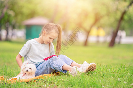 朋友童年快乐的小女孩在大自然中养着一只狗女孩在公园里和一只马耳他小狗玩耍微笑的小女孩在公园里玩耍和拥抱小狗可爱的图片