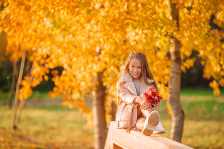 随意的在秋天公园露的可爱小女孩秋天带着黄色叶子花束的可爱小女孩肖像活动十月图片