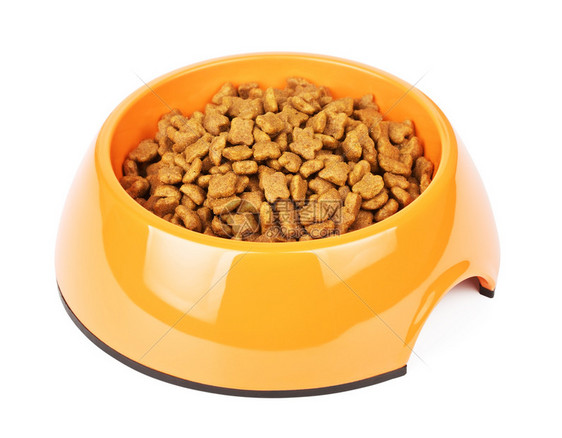 照片所有的黄色碗里干猫粮在白色背景上被隔离橙色碗里的干猫粮狗图片
