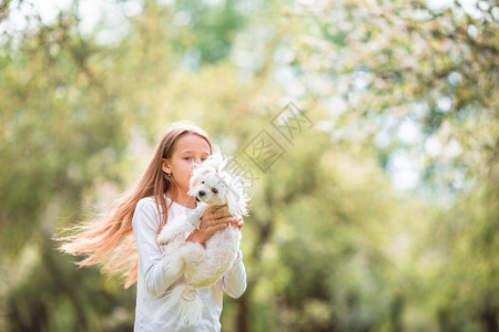 公园里抱着宠物狗的女孩图片