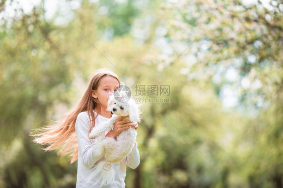 公园里抱着宠物狗的女孩图片