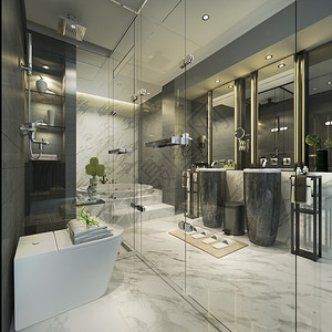 毛巾内部的3d提供现代厕所配有豪华瓷砖装饰墙图片