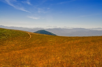 自然意大利在山坡上早晨的光辉中场地图片