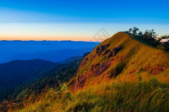 在山坡上早晨的光辉中乡村夏天图片