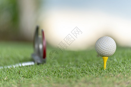 高尔夫球在场上打举办娱乐体育培训班风景优美球座自然图片