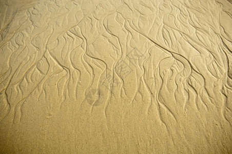 美丽水平的旅游沙尘中形成进化波浪模式图片