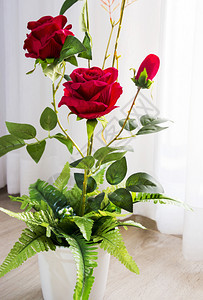 木制的浪漫植物花盆里的红玫瑰图片