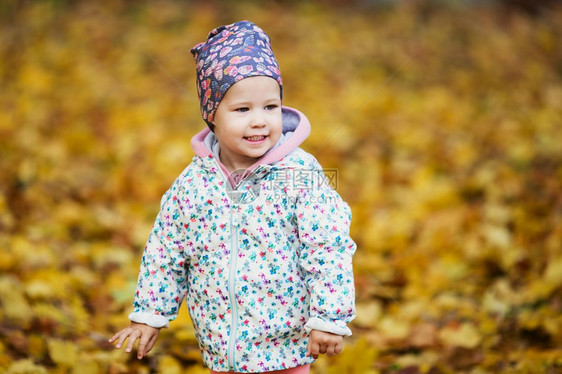 愉快城市乐的小女孩在城市秋天公园散步在金黄秋月叶中可爱的女婴肖像幸福图片