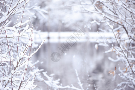 冻结小插图魔法冬天背景模糊有文字空间雪中树枝的Vignette和冰中的湖在美丽圣诞背景上美丽图片