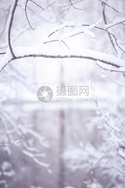 分支机构场景冬天背模糊有文字空间雪中树枝的Vignette和冰中的湖在美丽圣诞背景上美丽风优图片