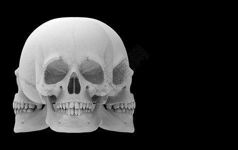 生活糟糕的科学3D使万圣节人类头骨的几张方向脸在黑色背景上被隔离图片