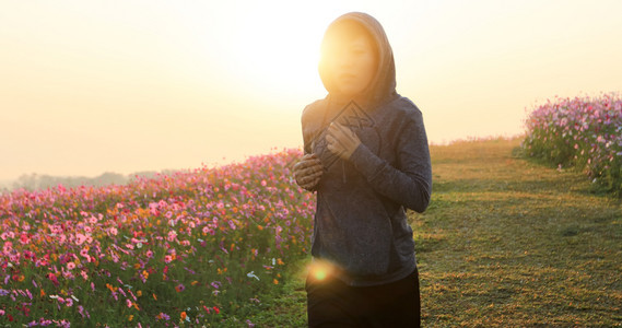 运动服人亚裔妇女早上在宇宙花场慢跑训练图片