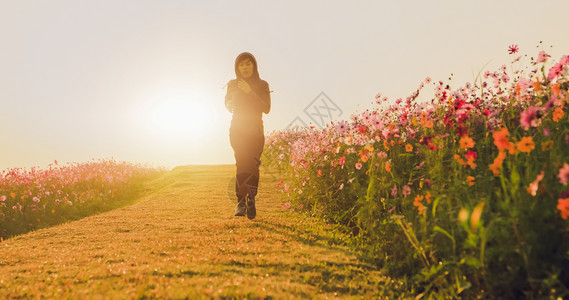 跑步亚裔妇女早上在宇宙花场慢跑积极的健康图片