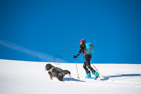 带狗登雪山的女生图片