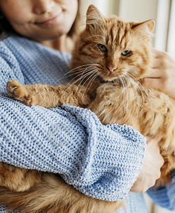 女人拥抱猫咪图片