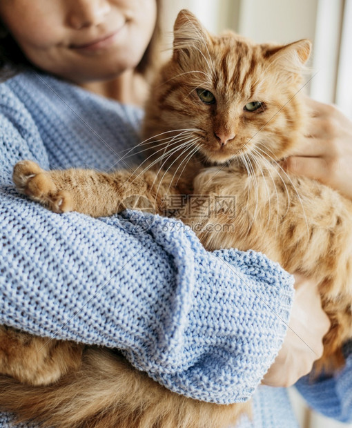 女人拥抱猫咪图片