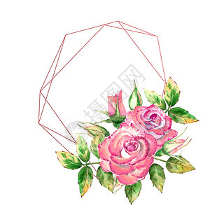 大学几何框架饰有花朵粉红玫瑰绿叶开合花精美水彩插图几何框架饰有花朵粉红玫瑰开合花精致水彩插图现代的绿化图片